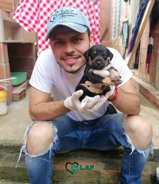 {"uid":"8f4c5ee6-898e-4e4f-9c22-61fc57b9a25d","from":"picsart"}