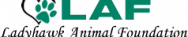 logo2