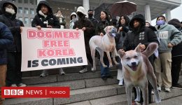 BBC South Korea