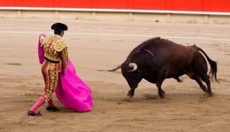 tOREO