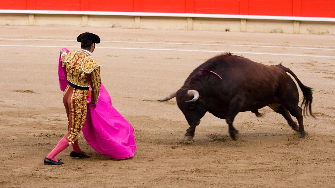 tOREO tOREO