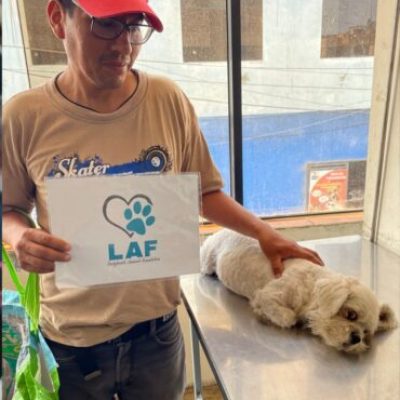 spayed14