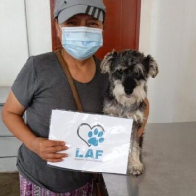 spayed19
