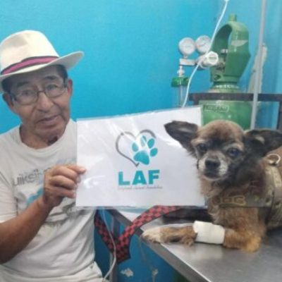 spayed20