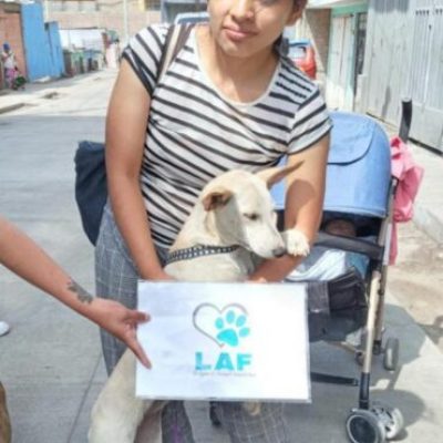 spayed24