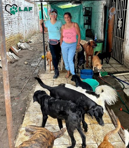 {"uid":"08db014e-6ef8-4387-9afc-29647522285e","from":"picsart"} Esther Lopez Shelter, Palmira, Colombia (2022).