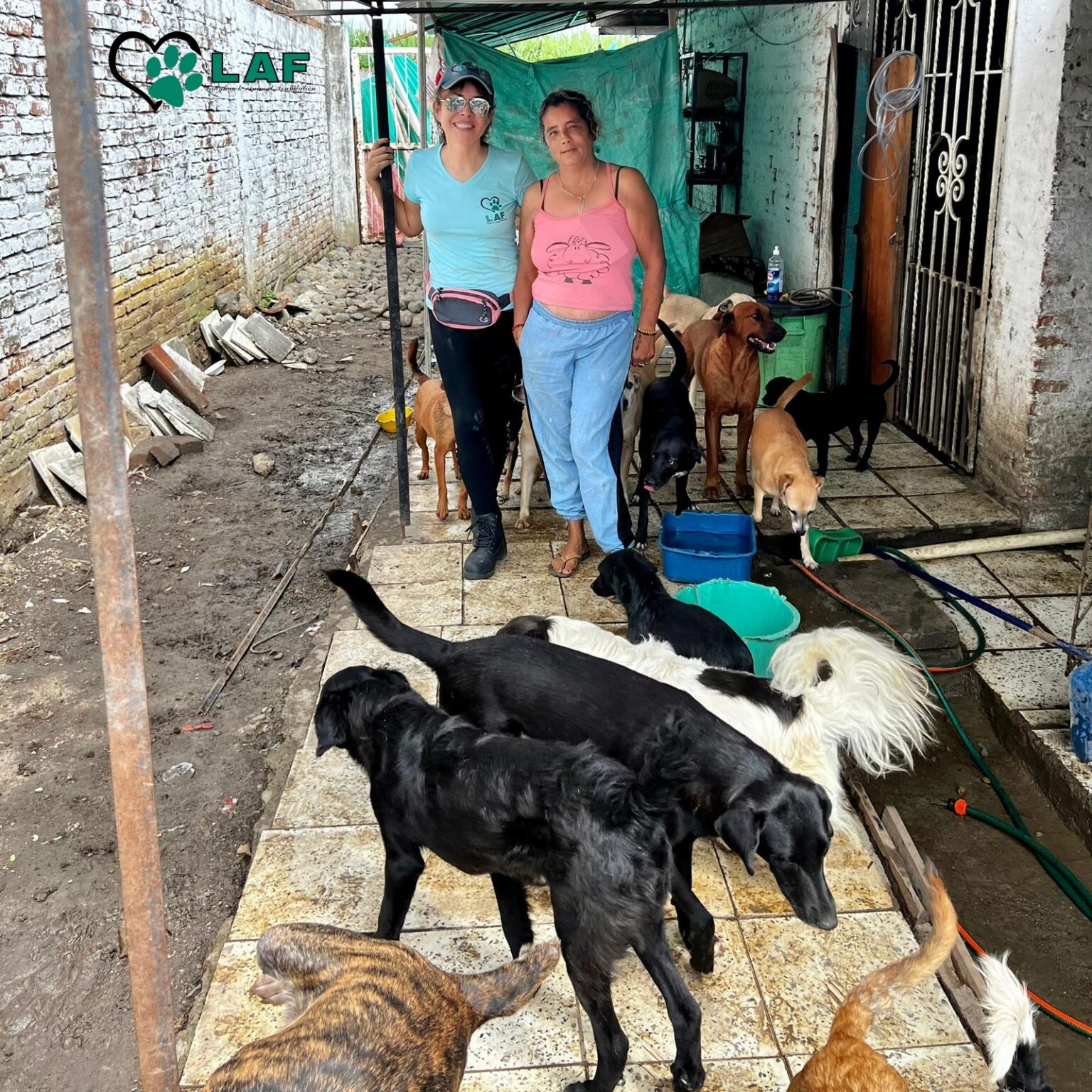 Esther Lopez Shelter, Palmira, Colombia (2022).