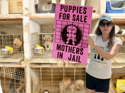 petitions1
