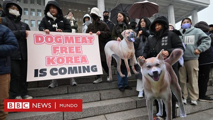 BBC South Korea